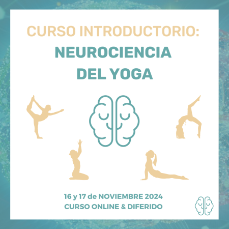 NEUROCIENCIA YOGA ONLINE